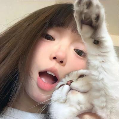 晴雅集